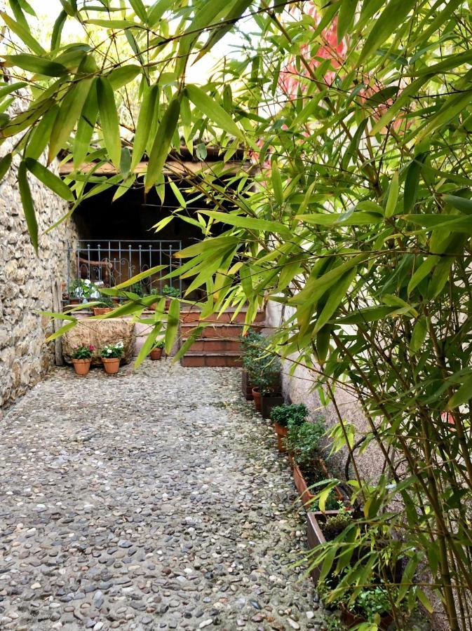 La Posada De Lola El Molar Esterno foto